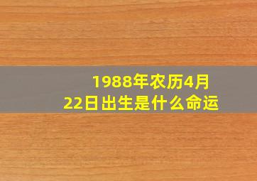 1988年农历4月22日出生是什么命运