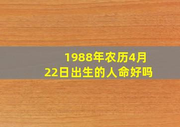 1988年农历4月22日出生的人命好吗