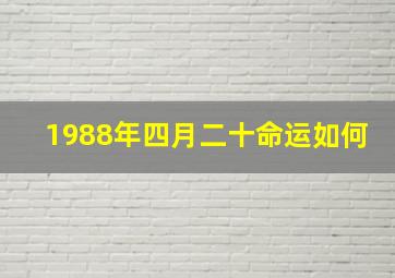 1988年四月二十命运如何