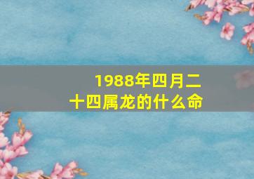 1988年四月二十四属龙的什么命