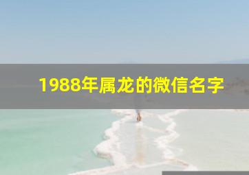 1988年属龙的微信名字