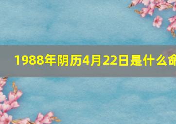 1988年阴历4月22日是什么命