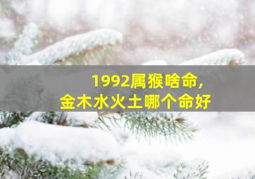 1992属猴啥命,金木水火土哪个命好