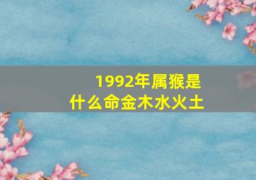 1992年属猴是什么命金木水火土