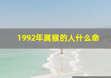 1992年属猴的人什么命