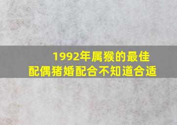 1992年属猴的最佳配偶猪婚配合不知道合适