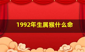 1992年生属猴什么命