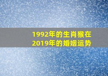 1992年的生肖猴在2019年的婚姻运势