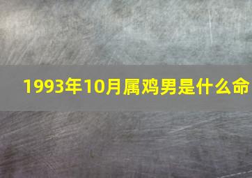 1993年10月属鸡男是什么命