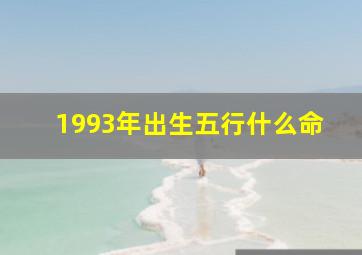 1993年出生五行什么命