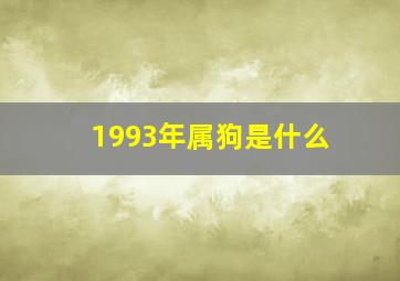 1993年属狗是什么