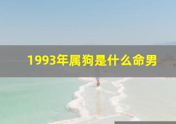 1993年属狗是什么命男