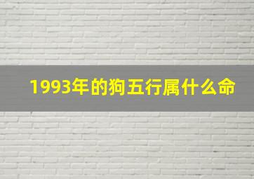 1993年的狗五行属什么命