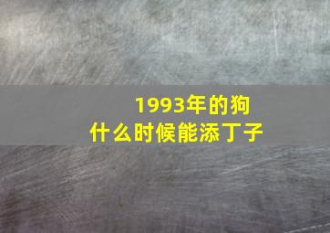 1993年的狗什么时候能添丁子