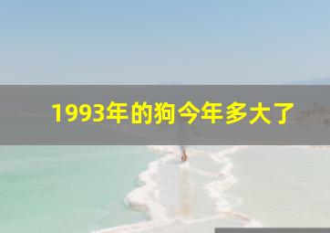 1993年的狗今年多大了