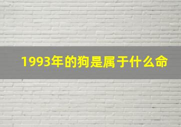 1993年的狗是属于什么命