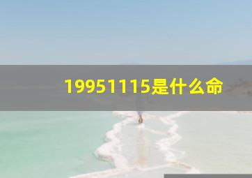 19951115是什么命