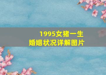 1995女猪一生婚姻状况详解图片