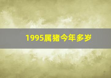 1995属猪今年多岁