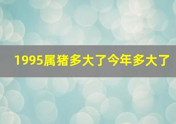 1995属猪多大了今年多大了