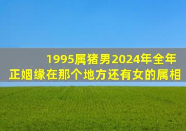 1995属猪男2024年全年正姻缘在那个地方还有女的属相