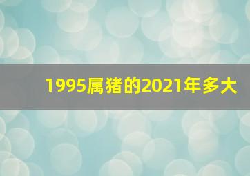 1995属猪的2021年多大