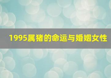 1995属猪的命运与婚姻女性