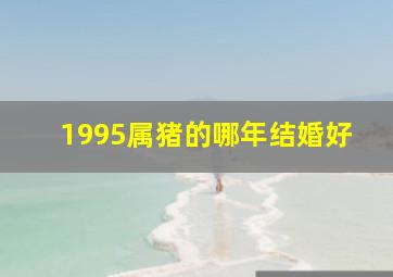 1995属猪的哪年结婚好