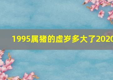 1995属猪的虚岁多大了2020