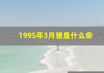 1995年3月猪是什么命