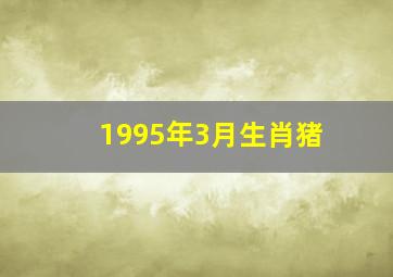 1995年3月生肖猪