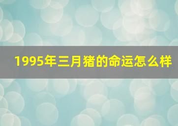 1995年三月猪的命运怎么样