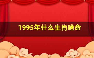 1995年什么生肖啥命