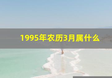 1995年农历3月属什么