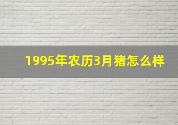 1995年农历3月猪怎么样