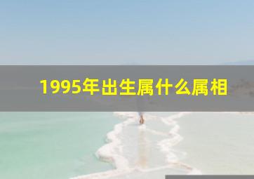 1995年出生属什么属相