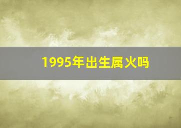 1995年出生属火吗