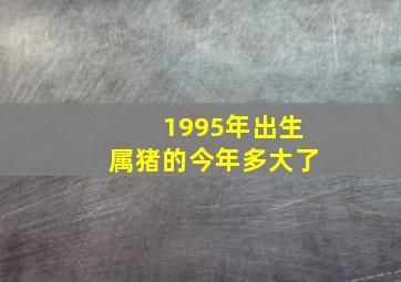 1995年出生属猪的今年多大了