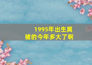 1995年出生属猪的今年多大了啊