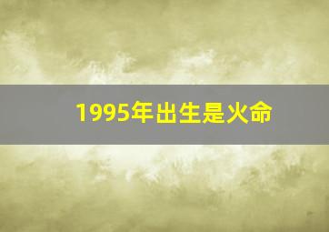 1995年出生是火命