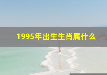 1995年出生生肖属什么