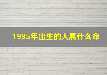 1995年出生的人属什么命