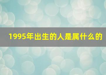 1995年出生的人是属什么的