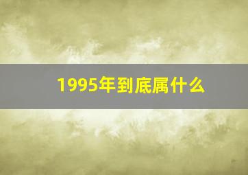 1995年到底属什么