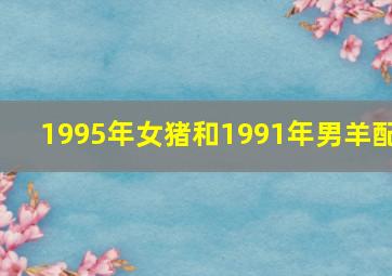 1995年女猪和1991年男羊配