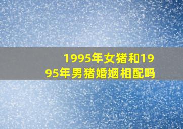 1995年女猪和1995年男猪婚姻相配吗