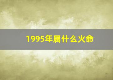 1995年属什么火命