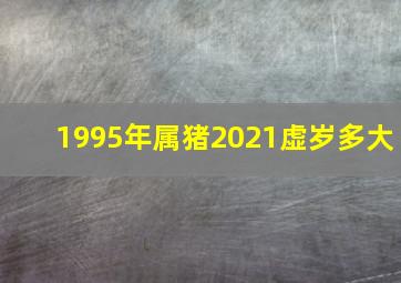 1995年属猪2021虚岁多大