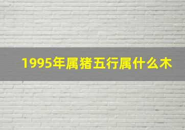 1995年属猪五行属什么木