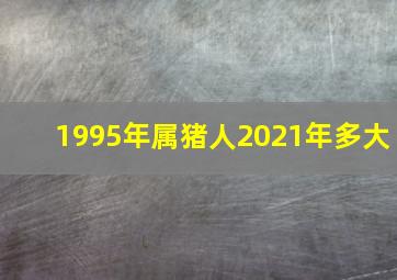 1995年属猪人2021年多大